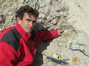 Francisco J. Rodríguez-Tovar, catedrático de la UGR, señalando el bio-evento del límite Cretácico/Terciario (cuando se extinguieron los dinosaurios) en el perfil de Agost (Alicante).