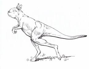 Recreación artística del canguro gigante extinto hace 30.000 años. / Janis et al.