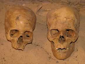 Diferentes tipos humanos hallados en la excavación. El cráneo de la izquierda pertenece a un sujeto de tipo medio, casi mediterráneo (blanco). El de la derecha es de un sujeto negroide y robusto, un nubio de la época (aproximadamente 1.750 a.C.).
