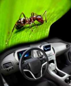 Los vehículos emitirán "feromonas" como las hormigas./Composición. Luke Elstad - NRMA New Cars