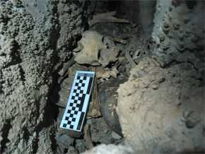 Una de las grietas de la cueva donde se observan la acumulación de varios restos humanos entre ellos el cráneo de un niño.