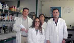 Investigadores del Departamento de Química y Física de la Universidad de Almería.