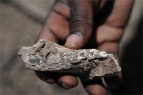 1 / 1 Parte de la mandíbula izquierda de Australopithecus deyiremeda encontrada en Etiopía. / Yohannes Haile-Selassie