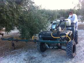Sistema de control biológico de la mosca del olivo empleado en aperos agrícolas convencionales sobre un 'quad' Meelad Yousef
