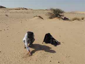 Uno de los investigadores recoge muestras en el desierto del Sáhara. Autora: Teresa Abáigar/CSIC