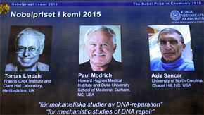 Los tres galardonados con el Nobel de Química 2015. / Efe