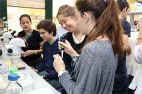 Estudiantes en el taller “Cómo utilizar el gusano C. elegans para estudiar el sentido del olfato”.
