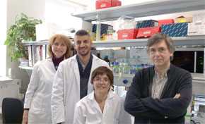 Antonio Alcina (derecha) y Fuencisla Matesanz (centro) junto al resto de investigadores del grupo. 