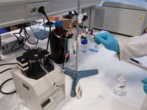 Sistema continuo para llevar a cabo la extracción en fase sólida de los disruptores endocrinos presentes en fluidos biológicos