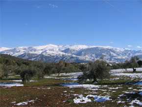 Sierra Nevada / Wikipedia