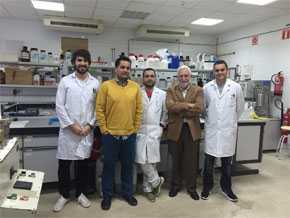 Investigadores de la Universidad de Córdoba que trabajan en la obtención de nanofibras de celulosa más eficientes.   