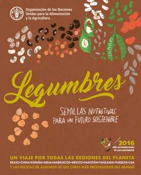 Legumbres_ Semillas nutritivas para un futuro sostenible