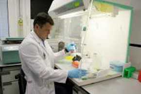 Antonio Caruz, en su laboratorio.
