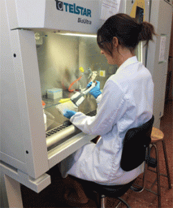 Una investigadora realiza labores de mantenimiento de cultivos de células de cáncer de colon