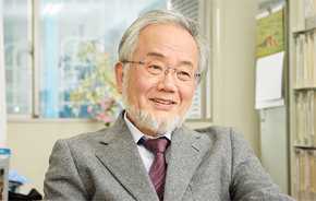 Yoshinori Oshumi, investigador en el Instituto de Tecnología de Tokio (Japón). / Nobel Prize