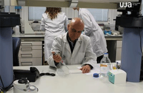 José Juan Gaforio, en una de sus jornadas de trabajo en el laboratorio
