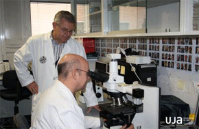 Reyes Peña y Joaquín Abolafia, en el laboratorio.
