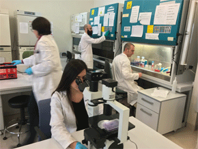 Los investigadores en el laboratorio