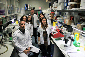 Grupo de Investigación de Fisiopatología de Células Madre Neurales de la Universidad de Sevilla y el Instituto de Biomedicina de Sevilla