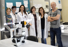 Grupo de Neuroinmunología de Enfermedades inflamatorias y autoinmunes del Instituto de Parasitología y Biomedicina López-Neyra-CSIC Granada