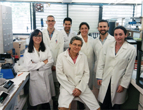 Miembros del grupo de investigación ‘Tecnología y diseño de productos multicomponentes’ de la Universidad de Sevilla