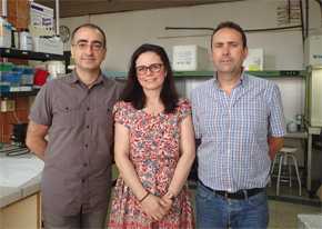 Científicos del grupo de investigación ‘Mejora y Biotecnología de Especies Hortofrutícolas’ de la Universidad de Málaga. 
