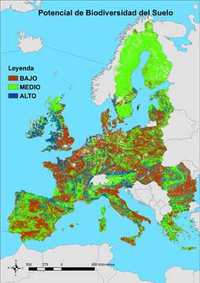Primer mapa digital europeo sobre biodiversidad del suelo