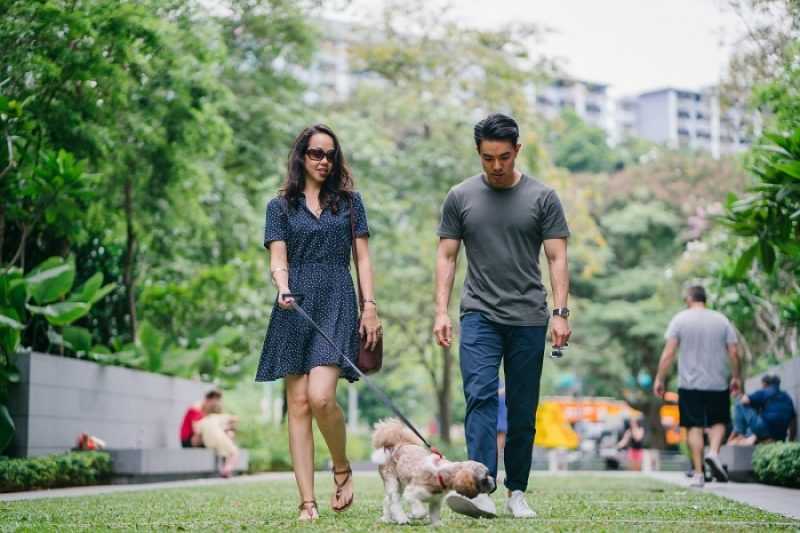 Fotografía de una pareja paseando a su perro en un parque. / Imagen: Mentatdgt en Pexels