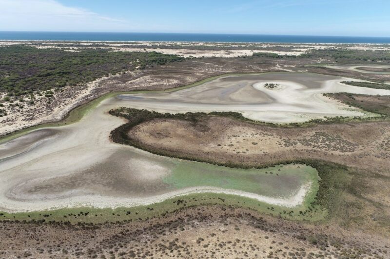 Vista aérea de la laguna de Santa Olalla el 2 de septiembre. / Estación Biológica de Doñana (EBD/CSIC) - CSIC