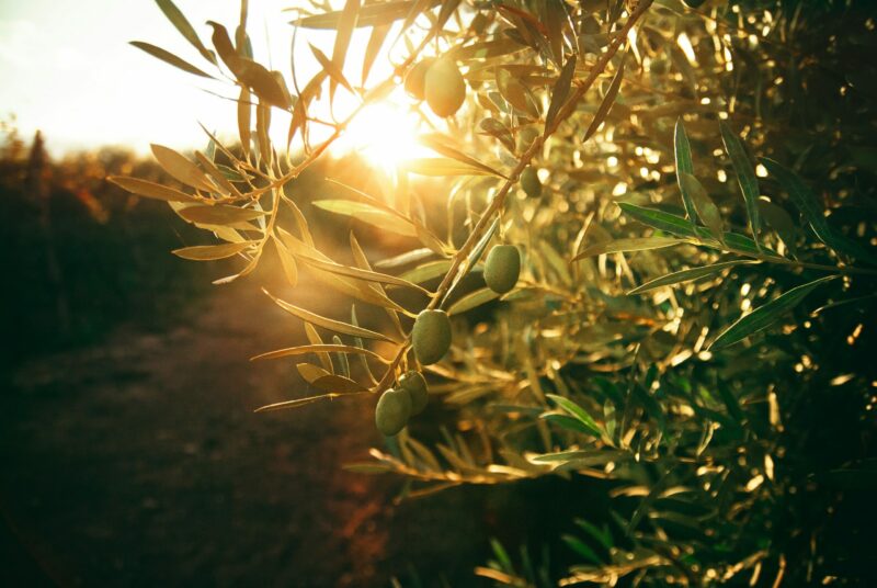 Foto de Flor Saurina en Unsplash