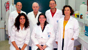 Los investigadores de la Universidad de Cádiz que han patentado el método ecológico para sintetizar nanopartículas de oro