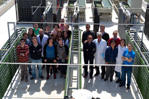 Foto del Grupo de Biotecnología de Microalgas Marinas liderado por el profesor Emilio Molina Grima en la planta piloto de producción de microalgas en la Universidad de Almería