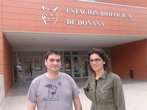 Los investigadores de la Estación Biológica de Doñana Jordi Figuerola y Rocío Márquez