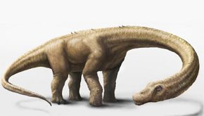 Representación en 3D del Dreadnoughtus schrani, un dinosaurio herbívoro que probablemente pasó gran parte de su vida comiendo grandes cantidades de plantas para mantener su enorme tamaño corporal. /  Mark A. Klingler, Museo Carnegie de Historia Natural.